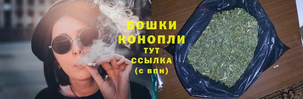 спиды Вяземский
