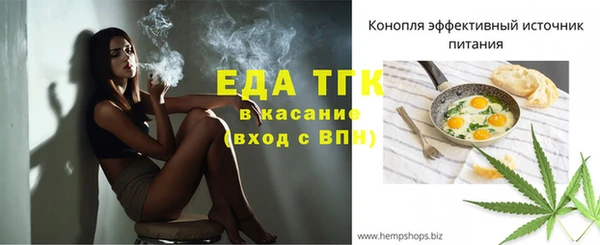 спиды Вяземский
