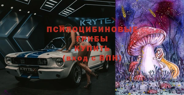 МДПВ Вязьма