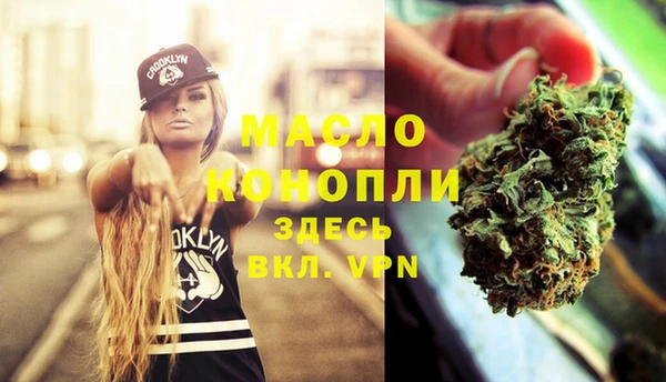 спиды Вяземский