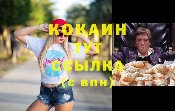 спиды Вяземский