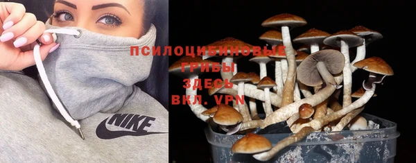 МДПВ Вязьма