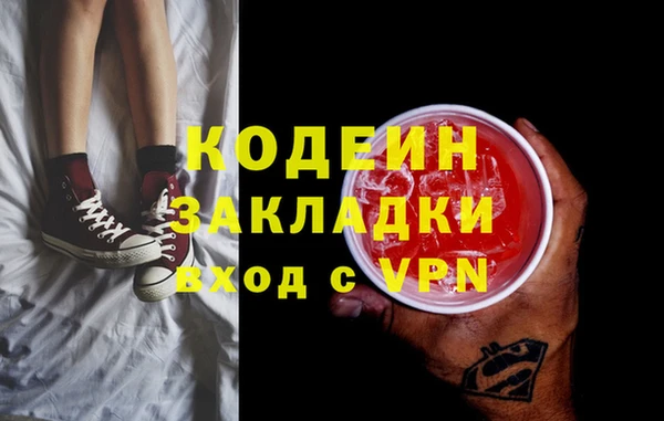 спиды Вяземский