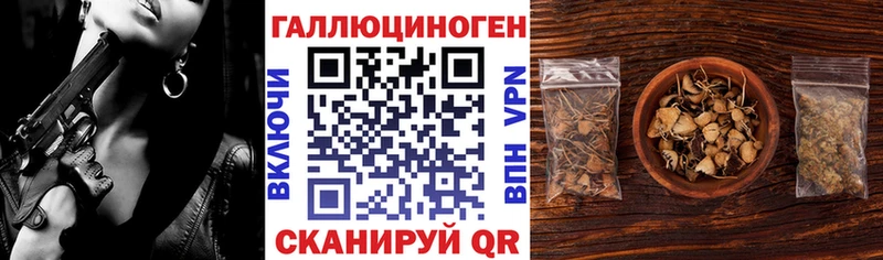 как найти закладки  Омск  Псилоцибиновые грибы Magic Shrooms 