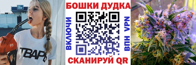 Конопля ГИДРОПОН  как найти   Омск 
